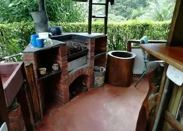 Pochote Guayabo (Guanacaste)