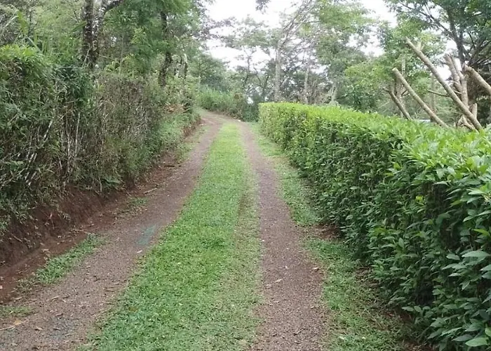 Pochote Lodge Guayabo (Guanacaste)