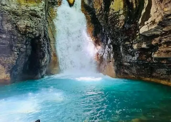 Pochote * Guayabo (Guanacaste)
