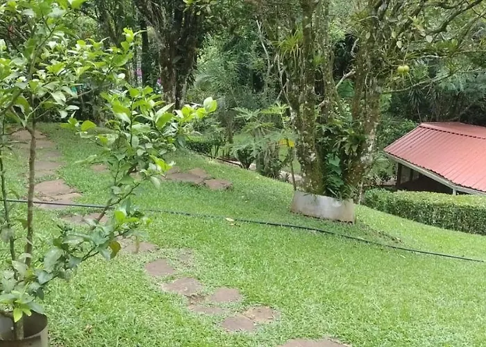 Pochote * Guayabo (Guanacaste)