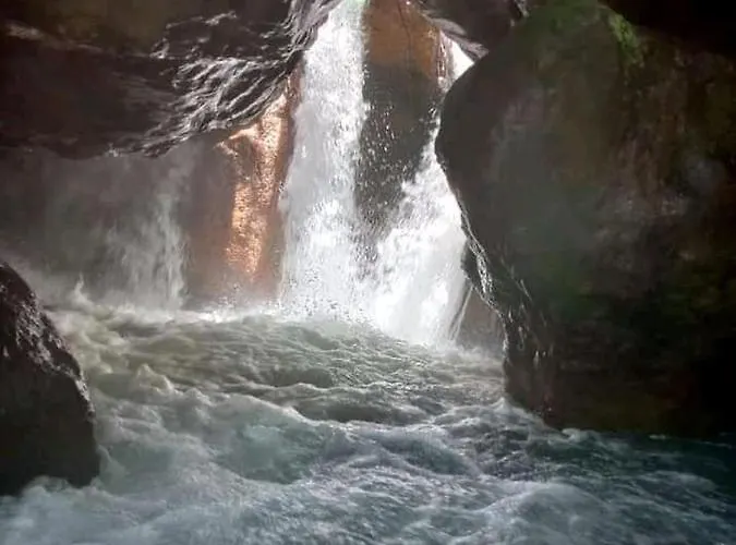 Pochote Guayabo (Guanacaste)