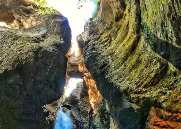 Pochote Lodge Guayabo (Guanacaste)