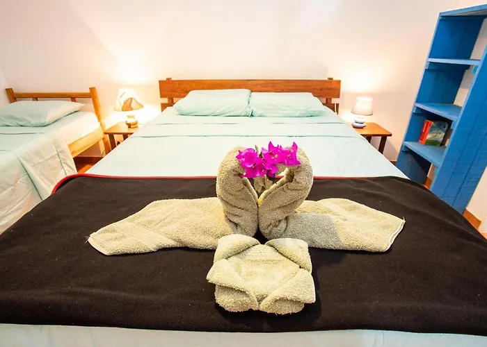 Pochote Lodge *