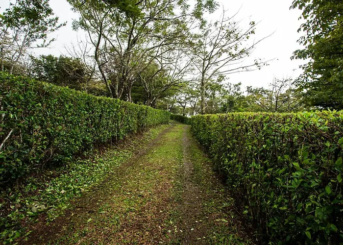 Pochote Lodge *